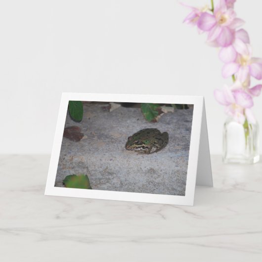 Carte Grenouille ibérique (Orchidée)