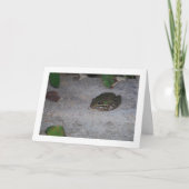 Carte Grenouille ibérique (Devant)