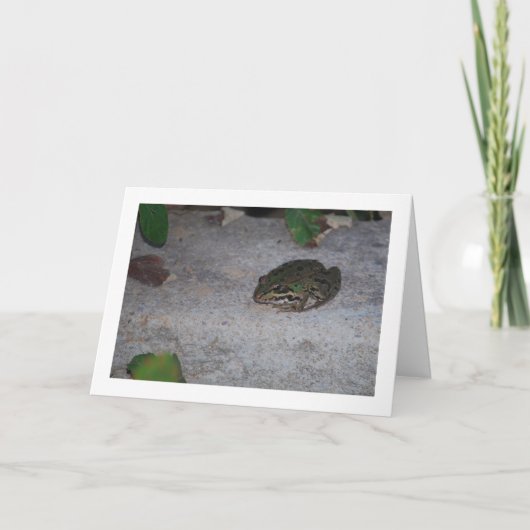 Carte Grenouille ibérique (Devant)