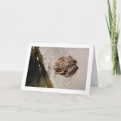 Carte Grenouille sur une haie (Devant)