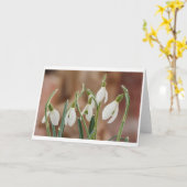 Carte greting card snowdrop without text (Fleur jaune)
