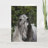 Carte Grey Andalucian Stallion Headshot Long Mane (Devant)
