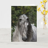 Carte Grey Andalucian Stallion Headshot Long Mane (Fleur jaune)