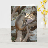 Carte Grey Langur - Take a Rest (Fleur jaune)