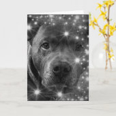 Carte Grey Pitbull Terrier avec Amoureux des chiens Spar (Fleur jaune)