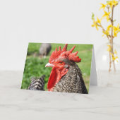Carte Grey Rooster | Blank (Fleur jaune)