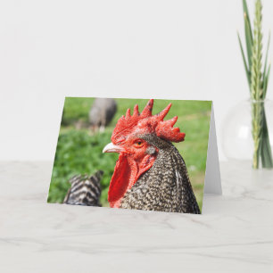 Carte Grey Rooster   Blank