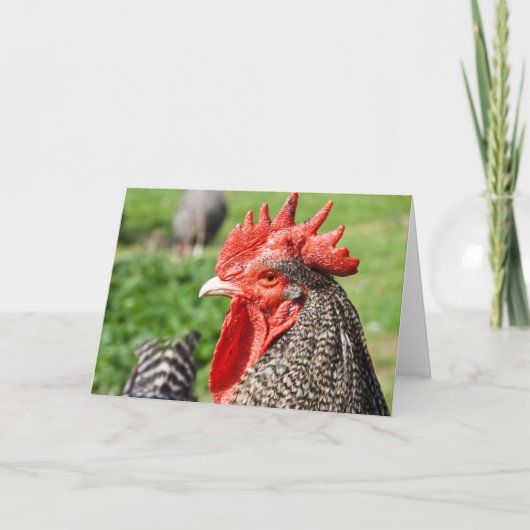 Carte Grey Rooster | Blank (Devant)