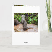 Carte Grey Standing Otter Joyeux anniversaire (Dos)