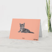Carte Grey Tabby et Rose (Dos)
