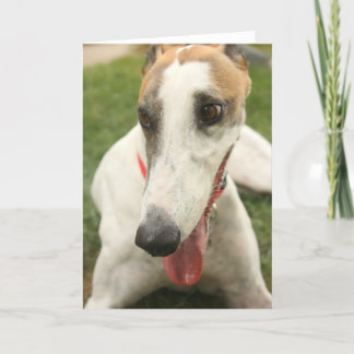 Carte Greyhound