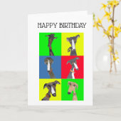 CARTE GREYHOUND COLLAGE (Fleur jaune)