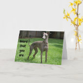 Carte GREYHOUND IRLANDAIS COMÉDIQUE HEUREUX "60ème anniv (Fleur jaune)