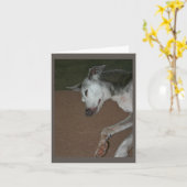 Carte Greyhound italienne #2 (Fleur jaune)