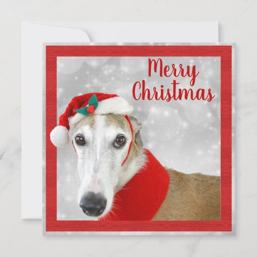 Carte Greyhound Joyeux Noël (Devant)