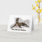 Carte Greyhound retraitée (Fleur jaune)