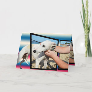 Carte Greyhound Trois Dimensions