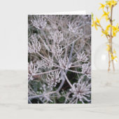 Carte griffes d'hivers (Fleur jaune)