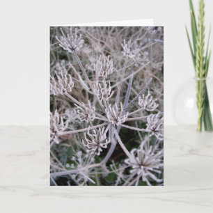 Carte griffes d'hivers