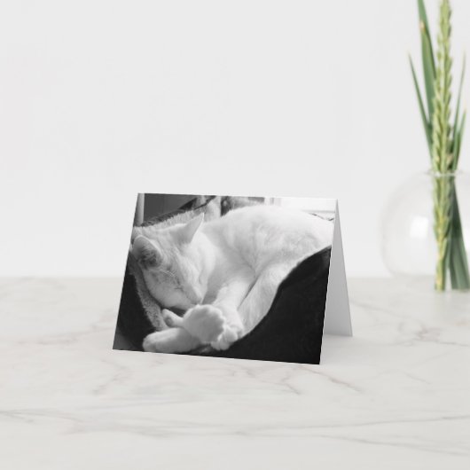 Carte Grincement de sommeil (Devant)