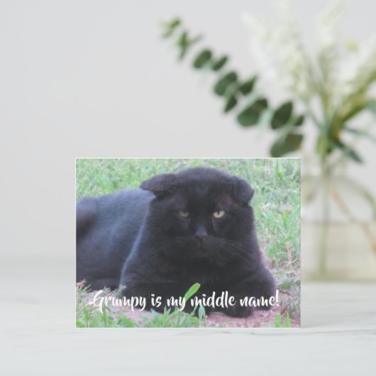 Carte grincheuse (Debout devant)