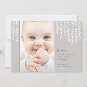 Carte Gris Faire-part de naissance Vignes Whimsica