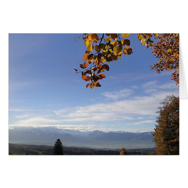 Carte grise de Bergpanorama (Devant horizontal)