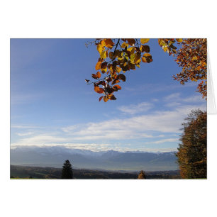 Carte grise du Panorama, blanc