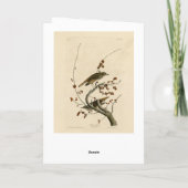 Carte Grive d'ermite des oiseaux d'Amérique d'Audubon (Dos)