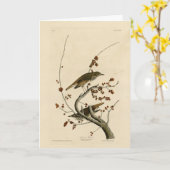 Carte Grive d'ermite des oiseaux d'Amérique d'Audubon (Fleur jaune)