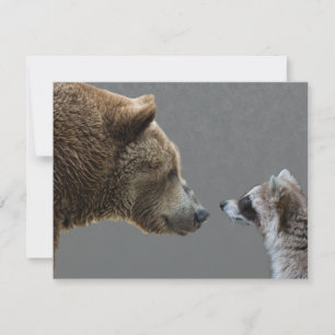 Carte Grizzle Bear rencontre Raccoon