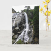 Carte Grizzly Falls, King's Canyon National Park, (Fleur jaune)