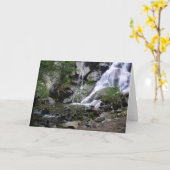 Carte Grizzly Falls, King's Canyon National Park, (Fleur jaune)