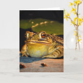 Carte Gros crapaud gras (Fleur jaune)