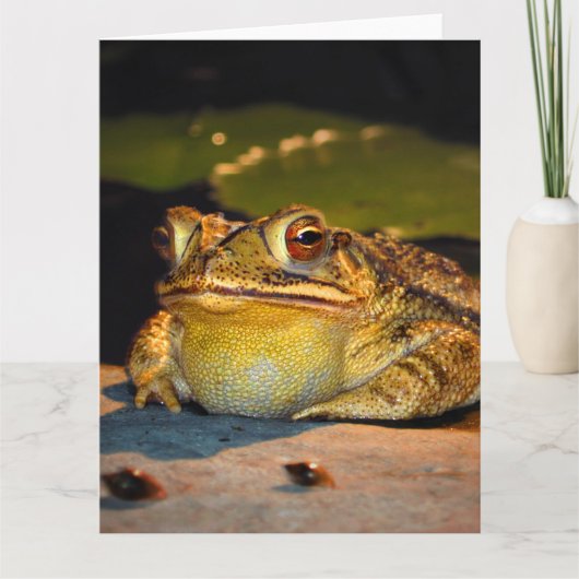 Carte Gros crapaud gras (Devant)