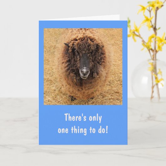 Carte Gros Moutons Sérieux Fuzzy Se Bien (Fleur jaune)