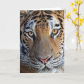 Carte Gros plan (Fleur jaune)