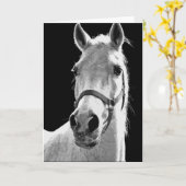 Carte Gros plan Cheval blanc noir en nuit (Fleur jaune)