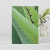 Carte Gros plan d'Agave (Debout devant)