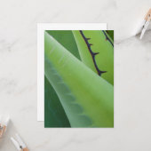 Carte Gros plan d'Agave (Devant/Arrière en situation)