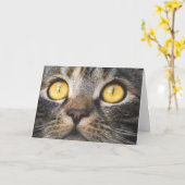 Carte Gros plan de chat avec Yellow Eyes (Fleur jaune)