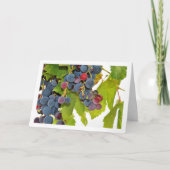 Carte Gros plan de la vigne rouge (Devant)
