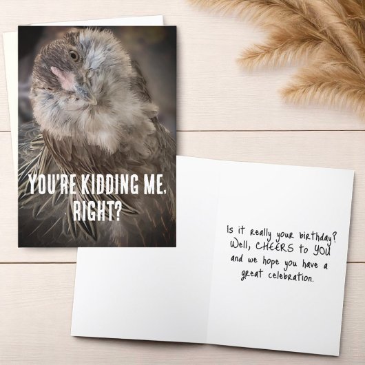 Carte Gros plan Drôle Tilted Head Poulet Photo