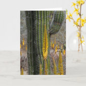 Carte Gros plan sur cactus et agave (Fleur jaune)