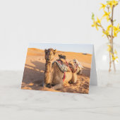 Carte Gros plan sur Camel dans le désert d'Oman (Fleur jaune)