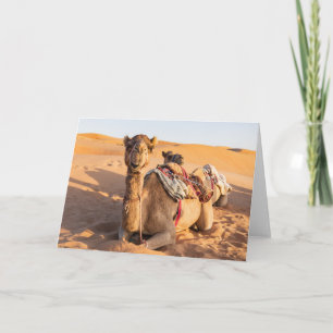 Carte Gros plan sur Camel dans le désert d'Oman