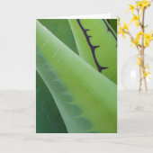 Carte Gros plan sur l'Agave (Fleur jaune)