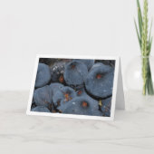 Carte Gros plan sur le fruit de la figue (Devant)