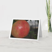 Carte Gros plan sur un fruit de grenade sur l'arbre (Devant)