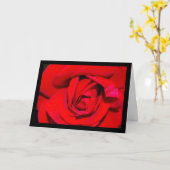 Carte Gros plan sur une rose rouge (Fleur jaune)